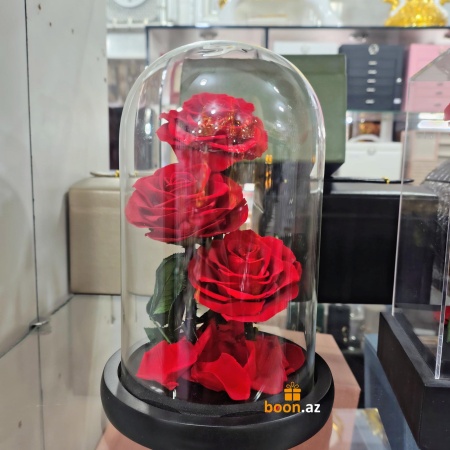 Живые розы в колбе