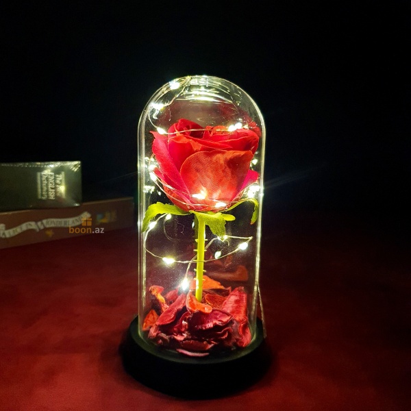 Роза в стеклянной колбе с живыми лепестками