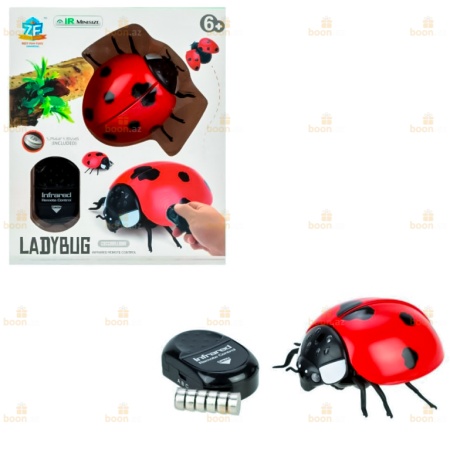 Радиоуправляемый робот «Божья коровка». Radio-controlled robot «Ladybug»