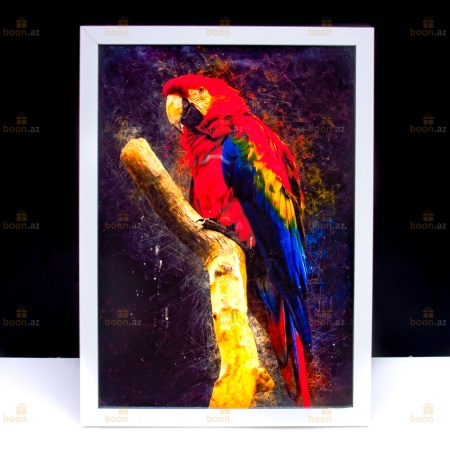 Постер  «попугай АРА »   (в рамке)