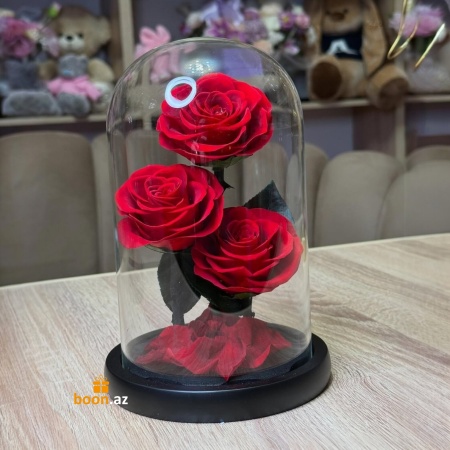 Живые розы в колбе