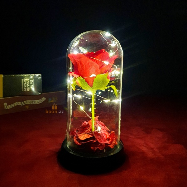 Роза в стеклянной колбе с живыми лепестками